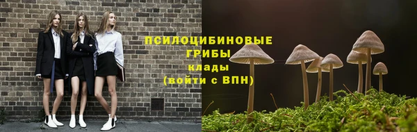 гидропоника Елизово