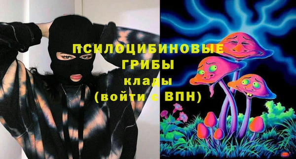 гидропоника Елизово
