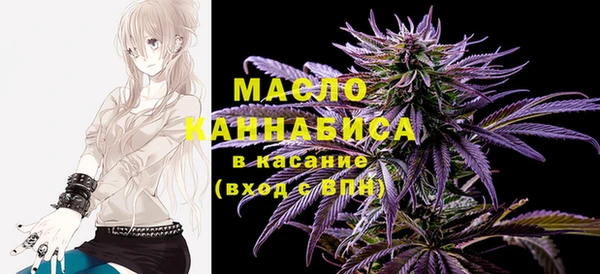 мет Елабуга