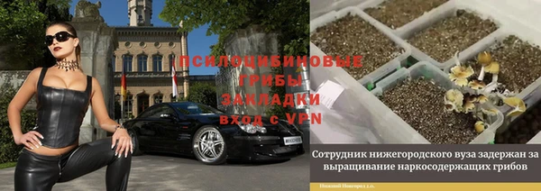 мет Елабуга