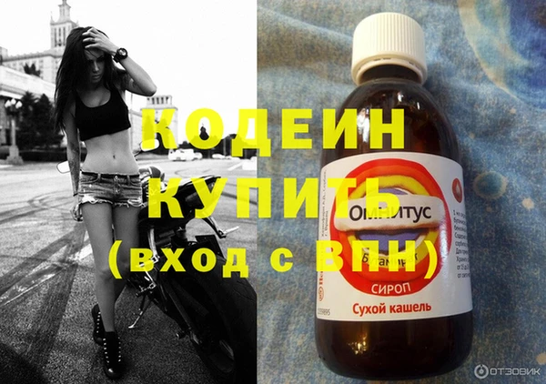 мет Елабуга