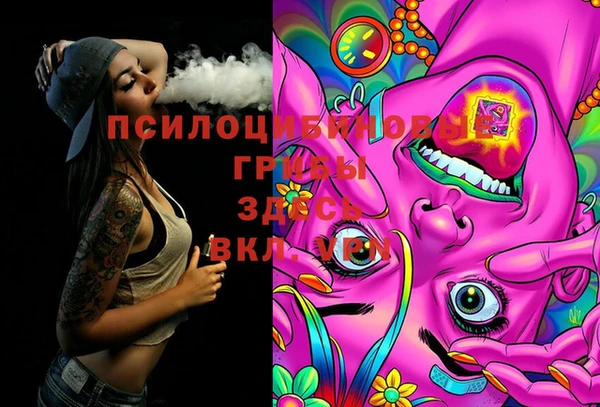героин Ельня