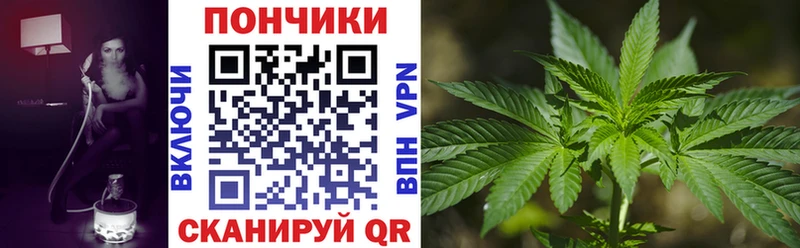 Бошки марихуана план  Купить где  Йошкар-Ола 